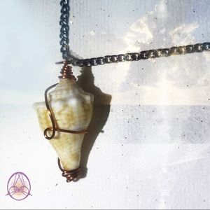 Creamsicle Drill Seashell Necklace